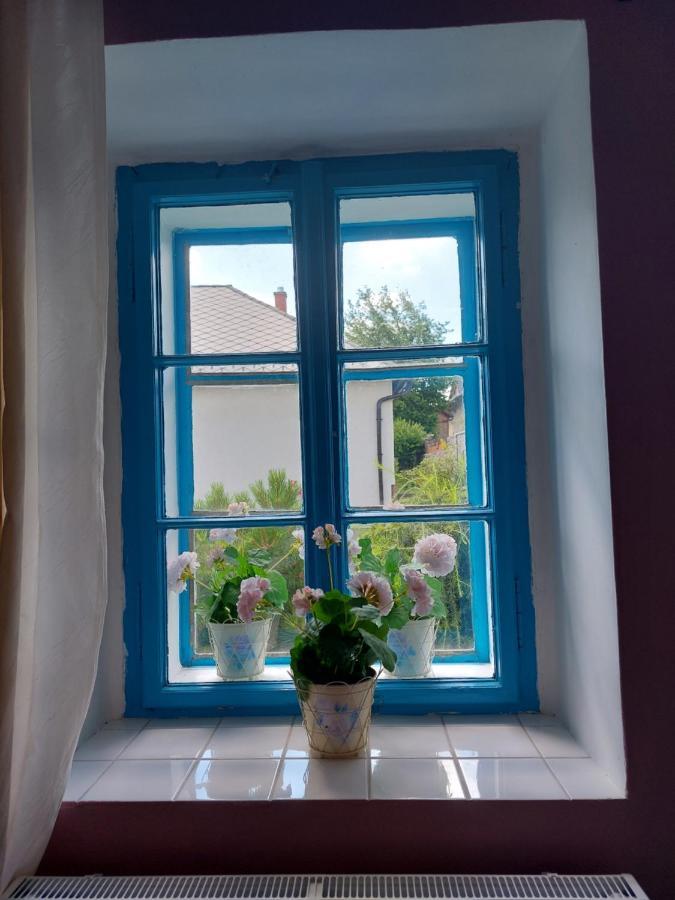Holiday home Modre Okno